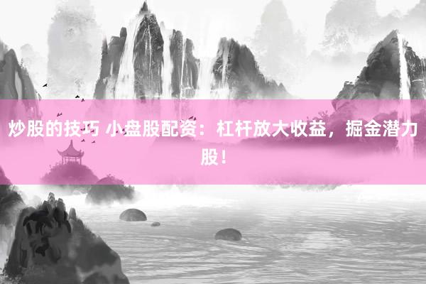 炒股的技巧 小盘股配资：杠杆放大收益，掘金潜力股！