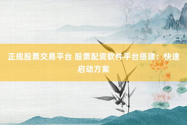 正规股票交易平台 股票配资软件平台搭建：快速启动方案