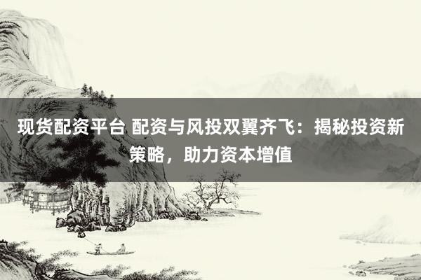现货配资平台 配资与风投双翼齐飞：揭秘投资新策略，助力资本增值