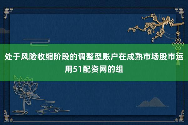 处于风险收缩阶段的调整型账户在成熟市场股市运用51配资网的组