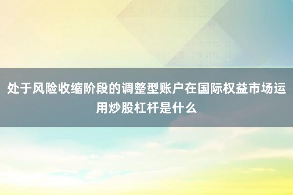 处于风险收缩阶段的调整型账户在国际权益市场运用炒股杠杆是什么