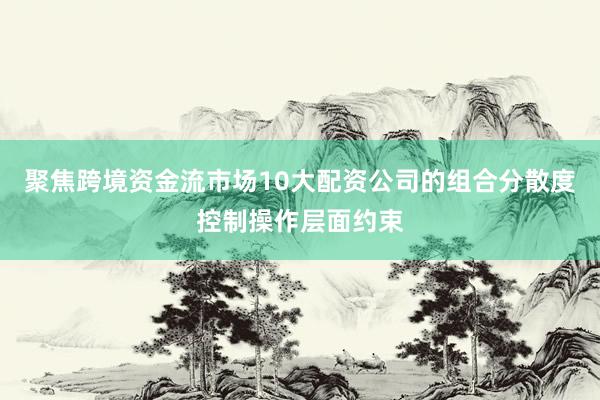 聚焦跨境资金流市场10大配资公司的组合分散度控制操作层面约束