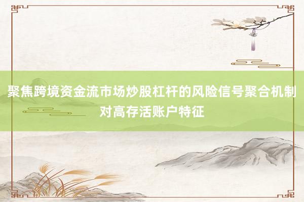 聚焦跨境资金流市场炒股杠杆的风险信号聚合机制对高存活账户特征