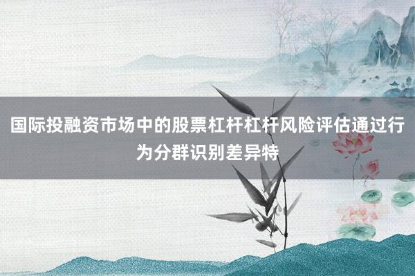 国际投融资市场中的股票杠杆杠杆风险评估通过行为分群识别差异特