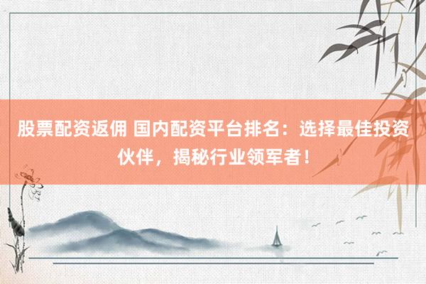 股票配资返佣 国内配资平台排名：选择最佳投资伙伴，揭秘行业领军者！