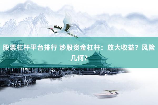 股票杠杆平台排行 炒股资金杠杆：放大收益？风险几何？