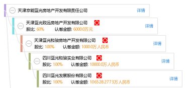 天津京能蓝光房地产开发有限责任公司